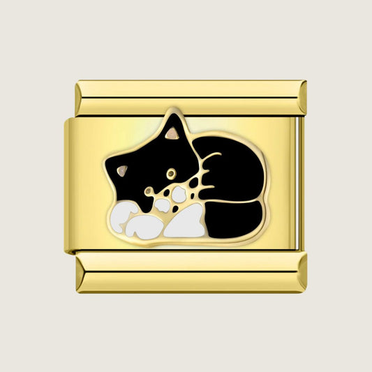 Katze