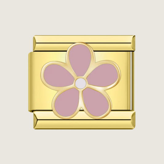 Rosa Blume