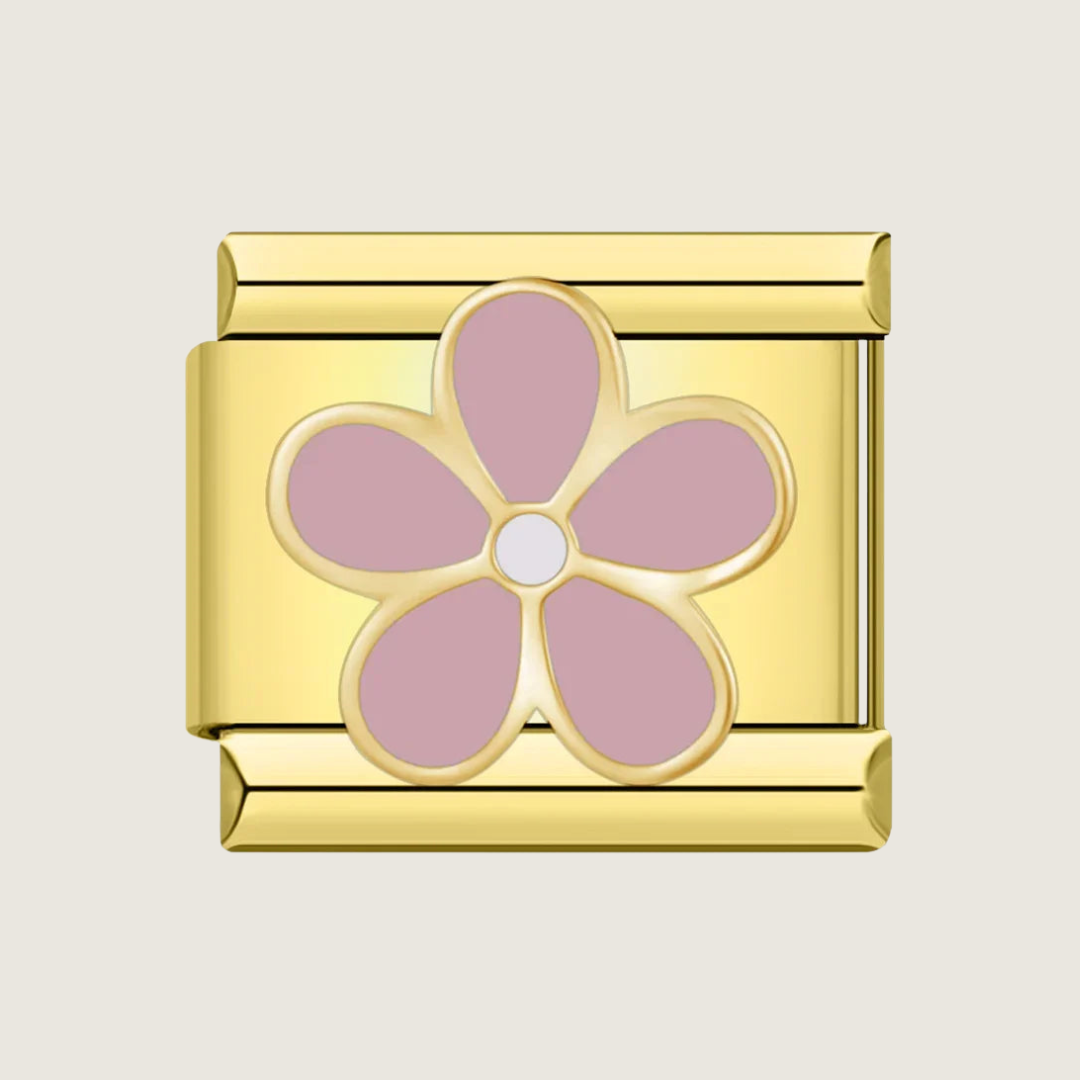Rosa Blume