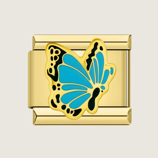 Blauer Schmetterling